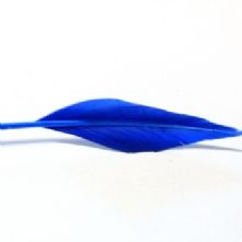 Light Royal Blue Arrow Head Feather
